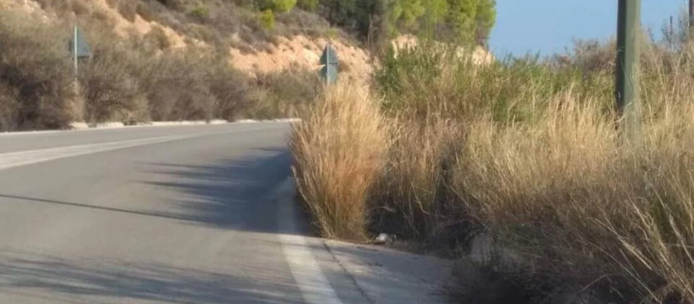 Νεκρός 23χρονος οδηγός μηχανής στο Λουτράκι - Έπεσε σε γκρεμό 30 μέτρων